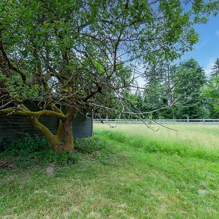 With Terrace, Cleaning Included